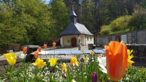 Historiker beleuchten Marienerscheinungen von 1876 in Marpingen neu