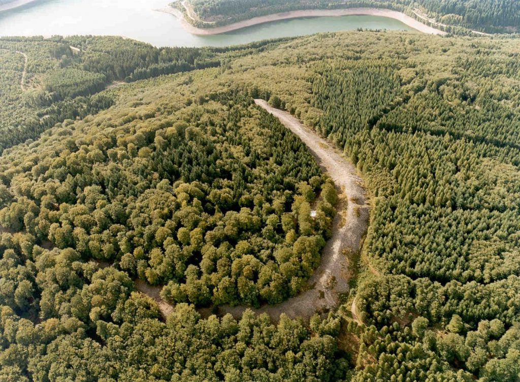 Ringwall von Otzenhausen_SHS
