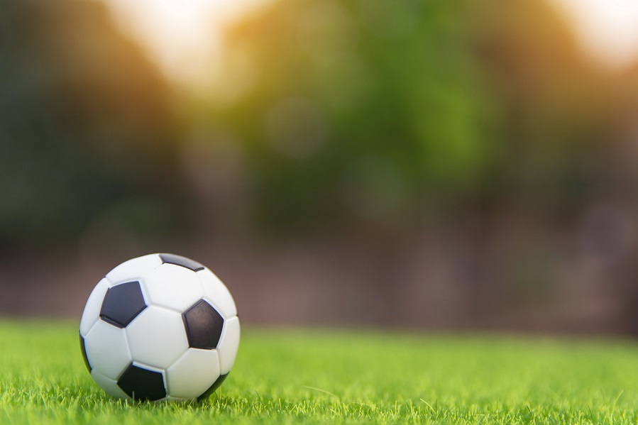 Fußball auf einer Wiese
