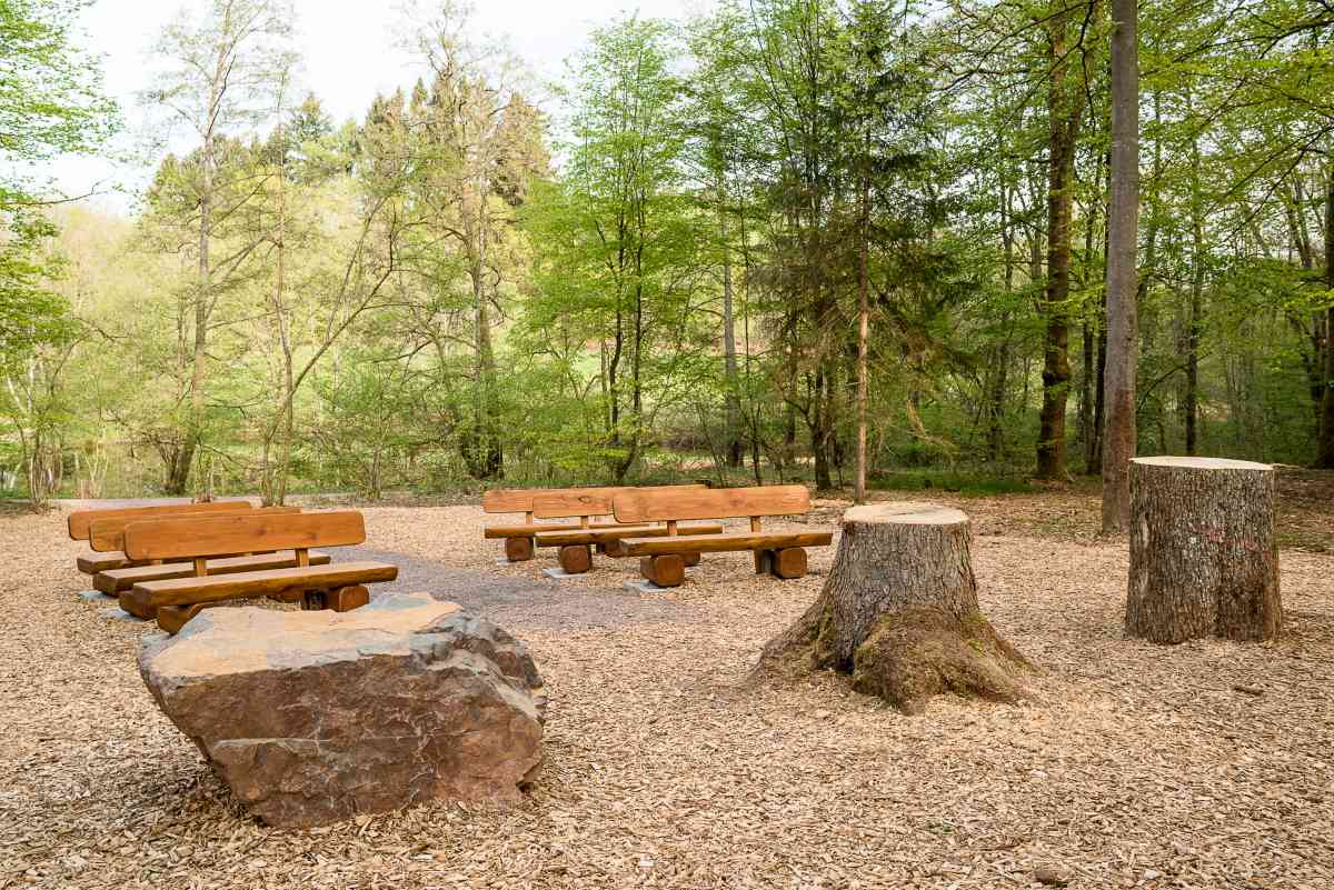 Ökumenische Gedenkfeier im FriedWald Imsbach