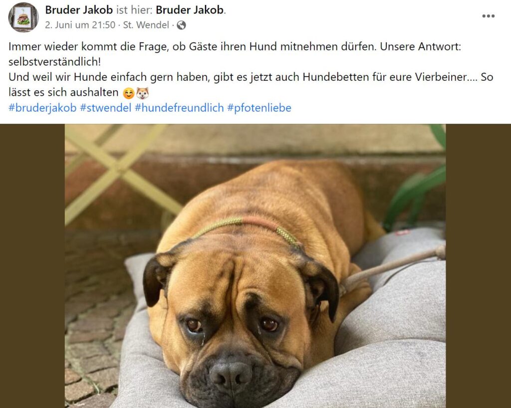 Hund im Restaurant