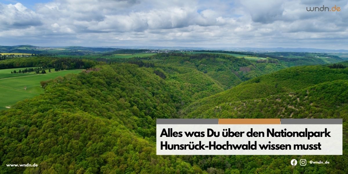 Nationalpark Hunsrück-Hochwald