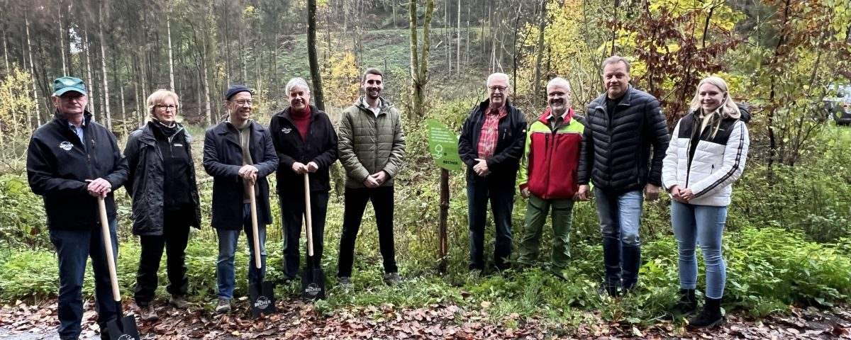 Baumsetzlinge für Bergweiler