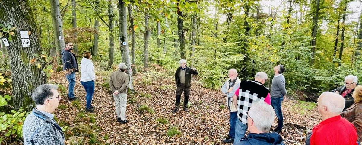 Klimawandel Wald Tholey