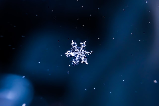 Eine einzelne Schneeflocke