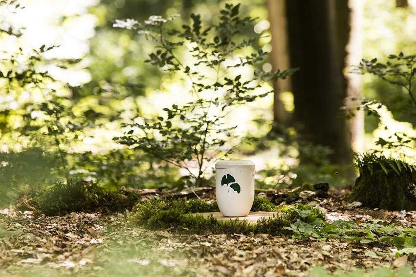 Die Bestattung in der Natur im FriedWald Imsbach bei Tholey im Saarland. (Foto: FriedWald GmbH)