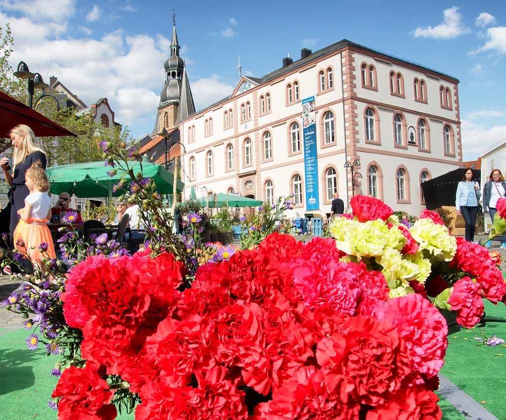 Blumen auf dem St. Wendeler Schlossplatz