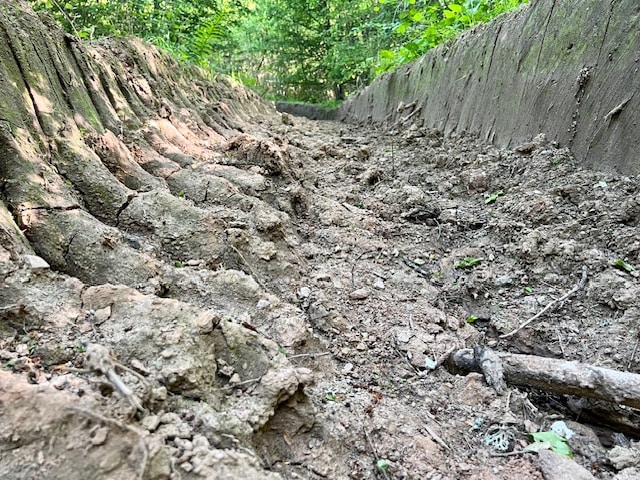 Waldschäden