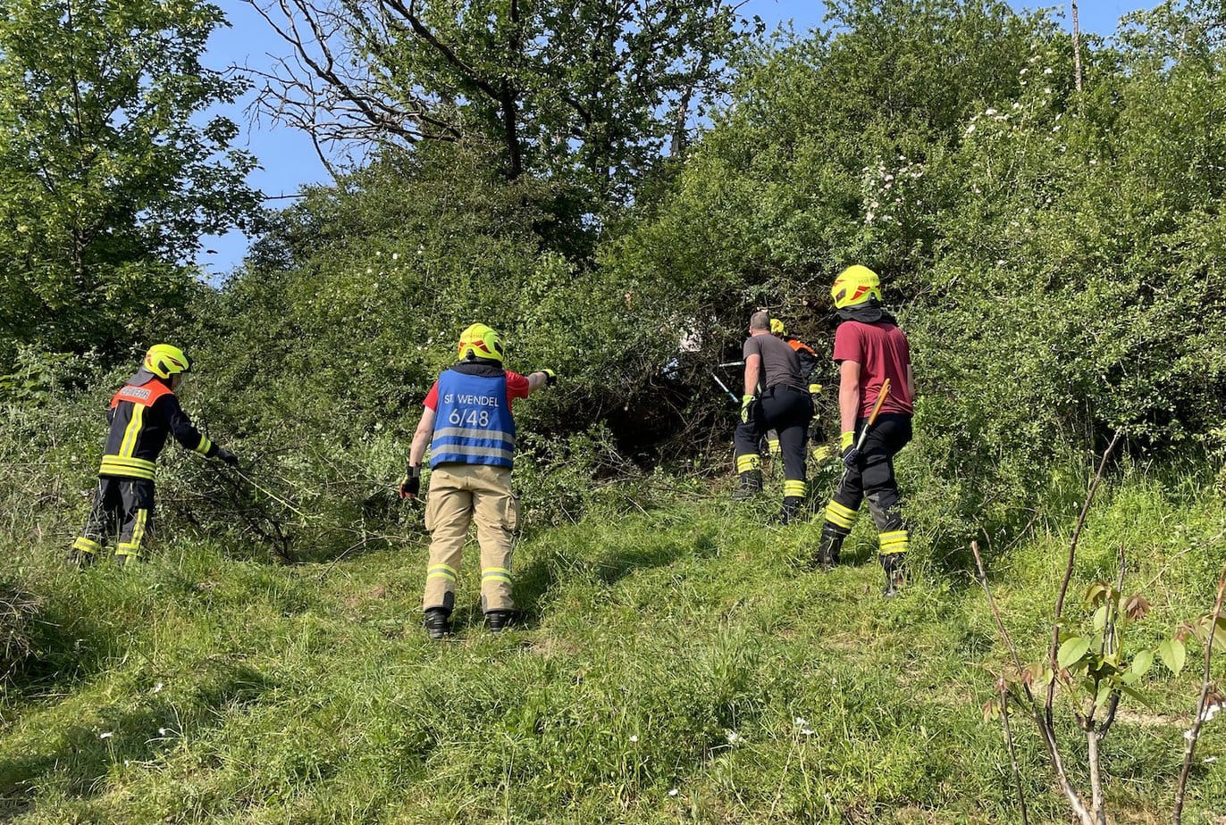 Tierrettung in Niederkirchen