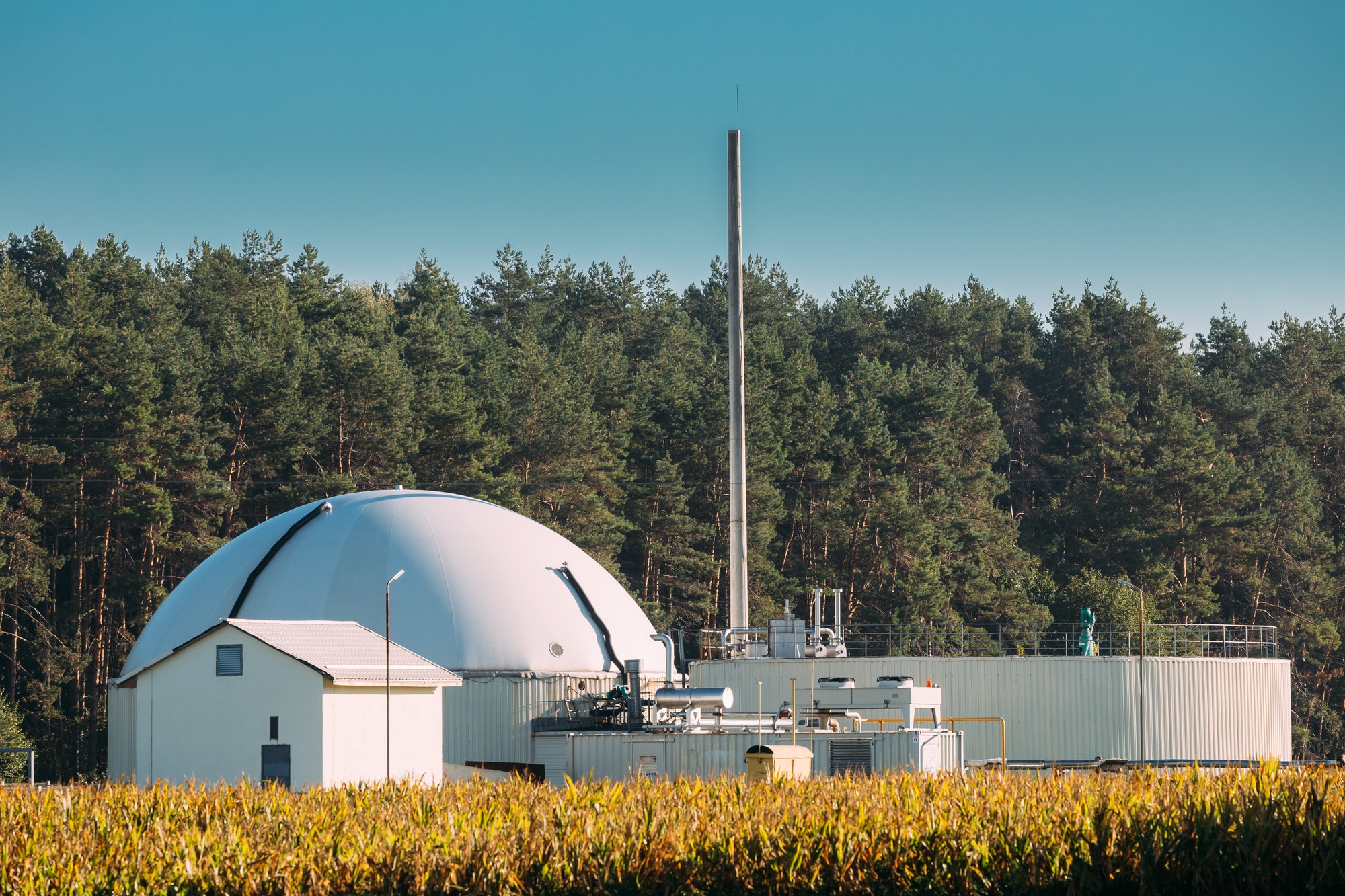Biogas Plant Or Bioreactor For Fermentation Of Chicken Manure