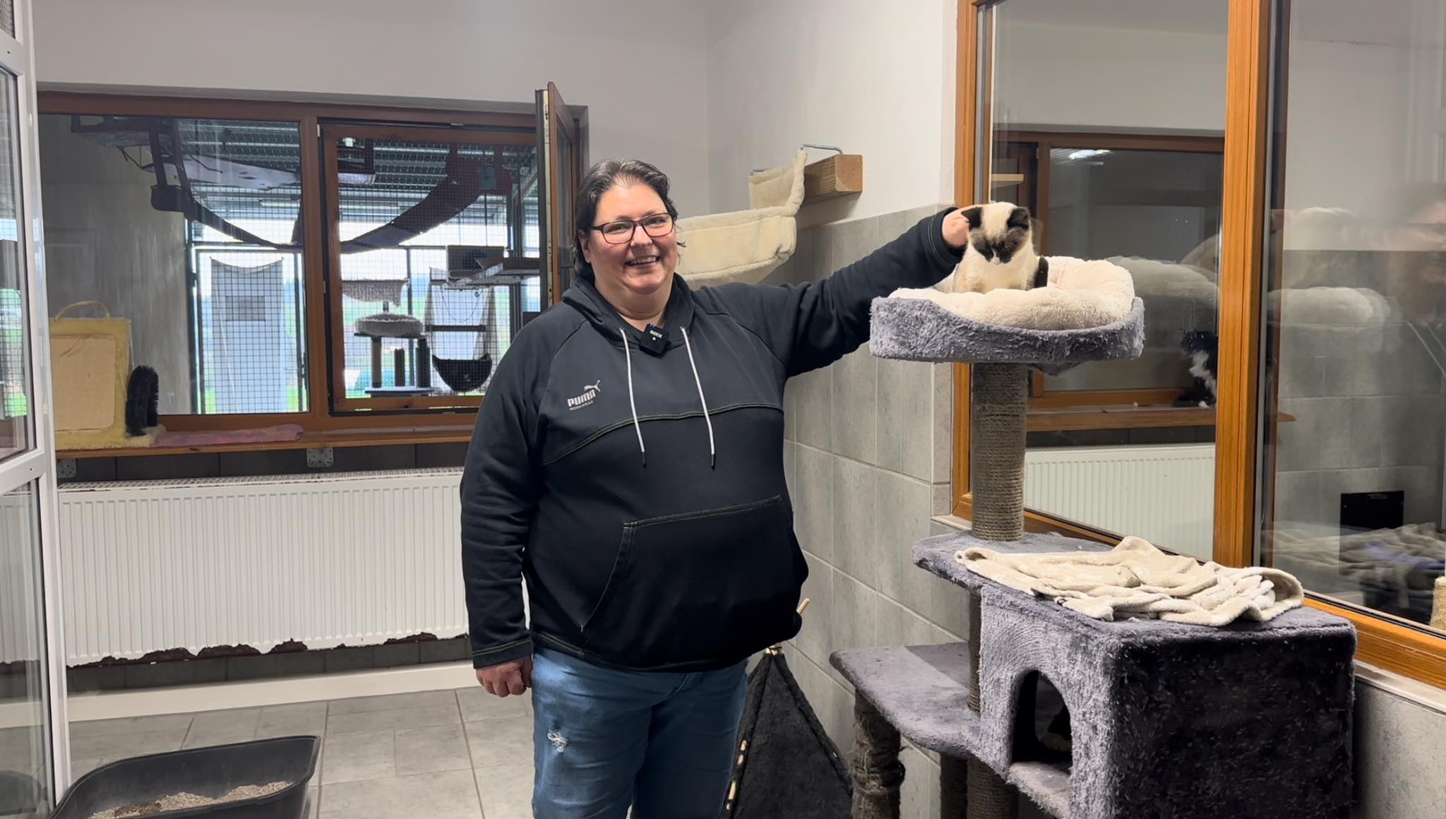 Frau Bondstätter, Leiterin Tierheim Linxbachhof im Katzenhaus, streichelt eine Katze