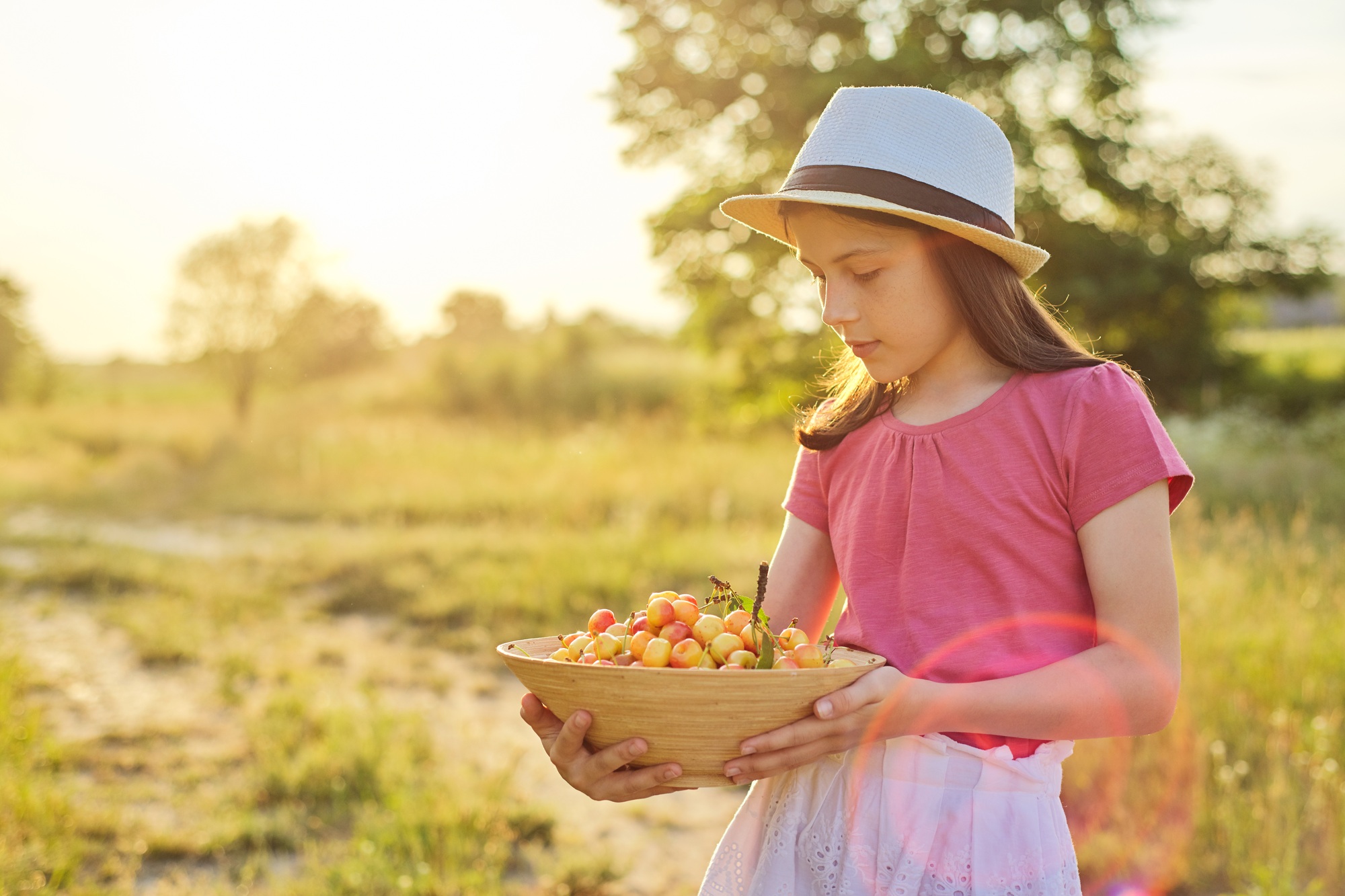 Child girl in hat with bowl of yellow sweet cherry, summer day in meadow