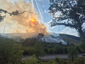 Feuer fraß sich bei Primstal durch steilen Waldhang – Feuerwehrleute hielten die ganze Nacht Brandwache