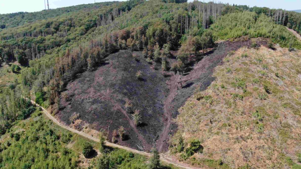 Kastel: Schlimmster Waldbrand seit Jahrzehnten hinterlässt schwere Schäden