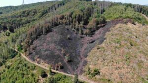 Kastel: Schlimmster Waldbrand seit Jahrzehnten hinterlässt schwere Schäden