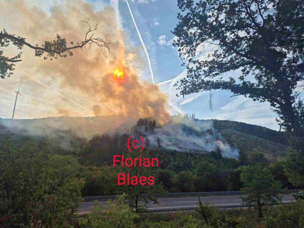 Mehrere Hektar Wald zwischen Kastel und Primstal stehen in Flammen