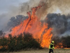 230 Einsatzkräfte kämpfen bei Eitzweiler gegen meterhohe Flammen