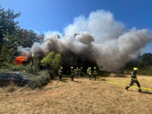 Hütten- und Vegetationsbrand an Weiheranlage in Haupersweiler