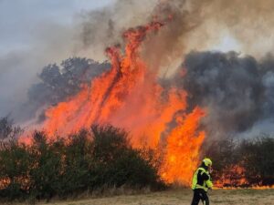 400 Einsatzkräfte kämpfen bei Hirzweiler gegen die Flammen